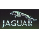 logo Jaquar 14 MM