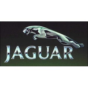 logo Jaquar 14 MM