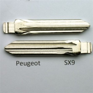 sleutelbaard Peugeot/citroen S9X