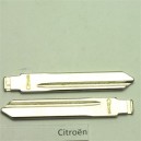 Citroen sleutelbaard