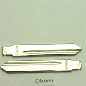 Citroen sleutelbaard